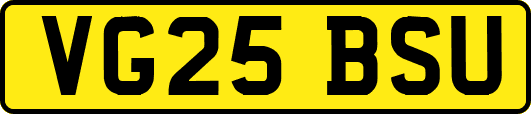 VG25BSU