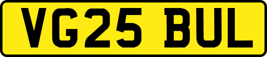 VG25BUL