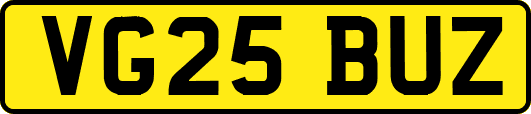 VG25BUZ