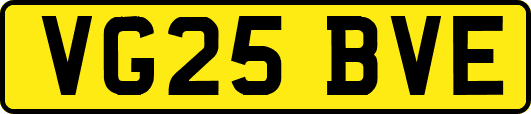 VG25BVE