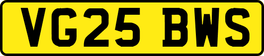 VG25BWS