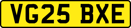 VG25BXE