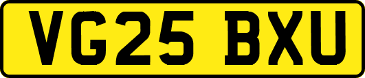 VG25BXU