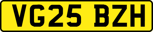 VG25BZH