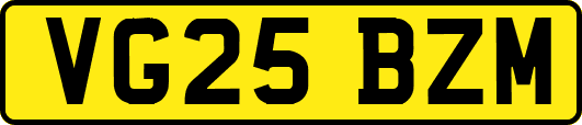 VG25BZM