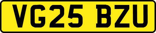 VG25BZU