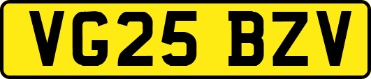 VG25BZV