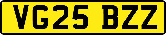 VG25BZZ