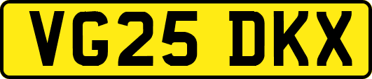VG25DKX