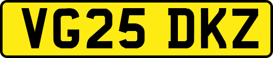 VG25DKZ