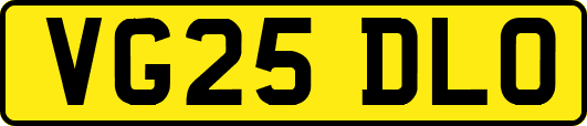 VG25DLO