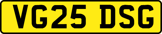 VG25DSG