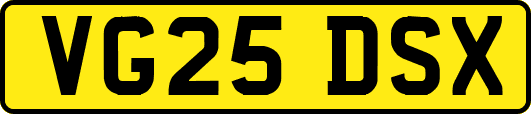 VG25DSX