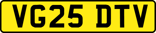 VG25DTV