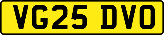 VG25DVO