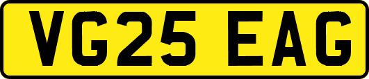 VG25EAG