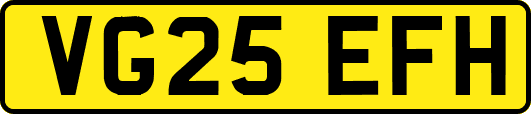 VG25EFH