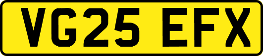 VG25EFX