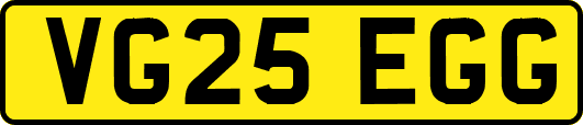 VG25EGG