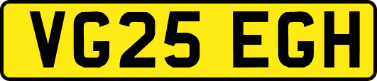 VG25EGH