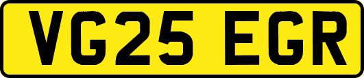 VG25EGR