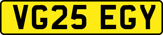 VG25EGY