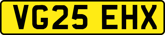 VG25EHX