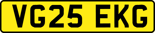 VG25EKG
