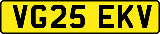 VG25EKV