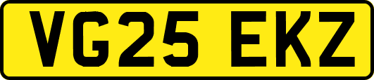 VG25EKZ