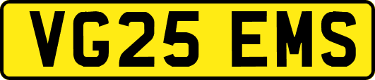 VG25EMS