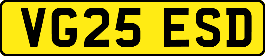 VG25ESD