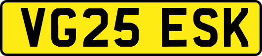 VG25ESK