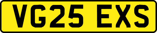 VG25EXS