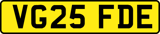 VG25FDE