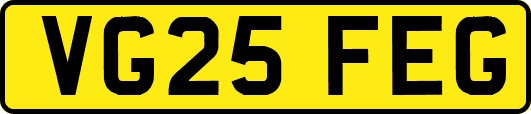 VG25FEG