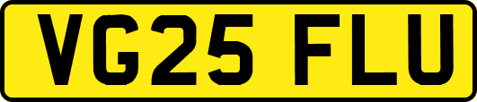 VG25FLU
