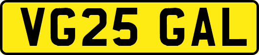 VG25GAL