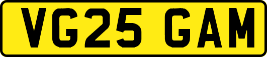 VG25GAM