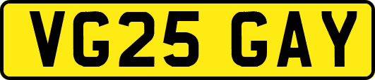 VG25GAY