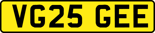 VG25GEE