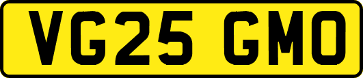 VG25GMO
