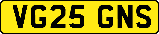 VG25GNS