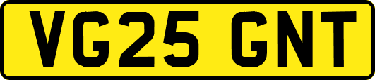 VG25GNT