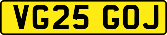 VG25GOJ