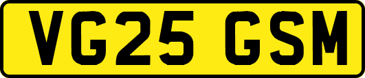 VG25GSM