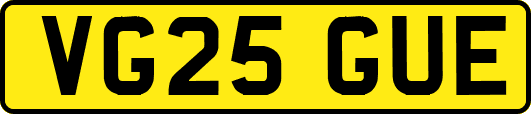 VG25GUE
