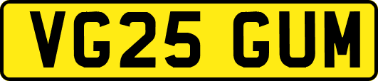 VG25GUM