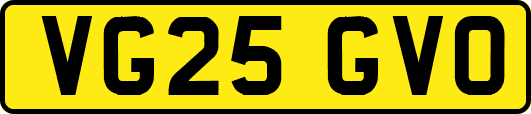 VG25GVO