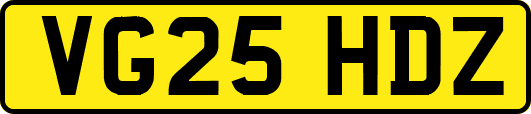 VG25HDZ